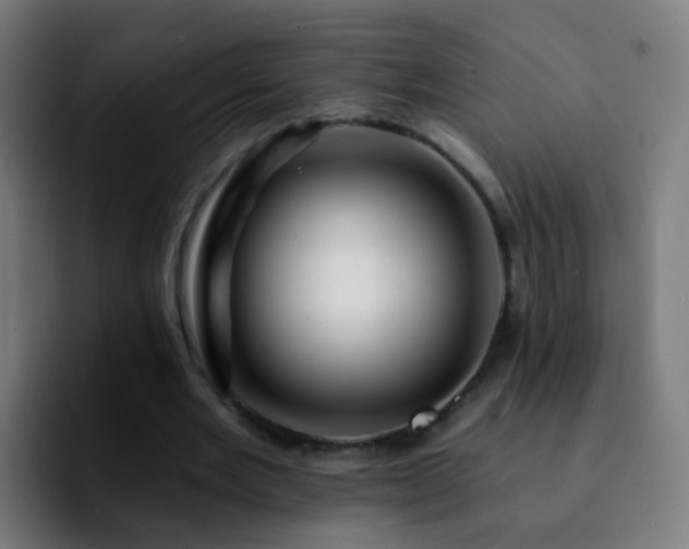 X0000092260485200709211122