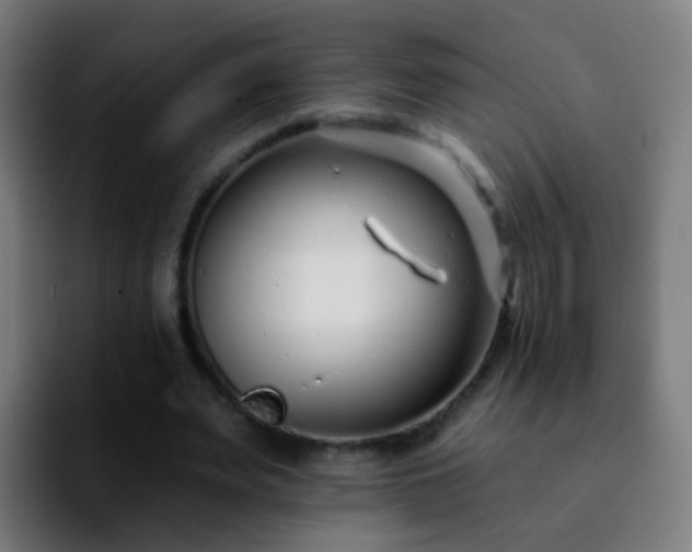 X0000092260487200709211122