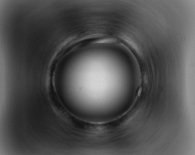 X0000092260492200709211122