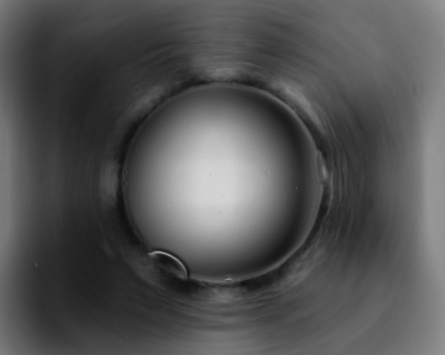 X0000092260495200709211122