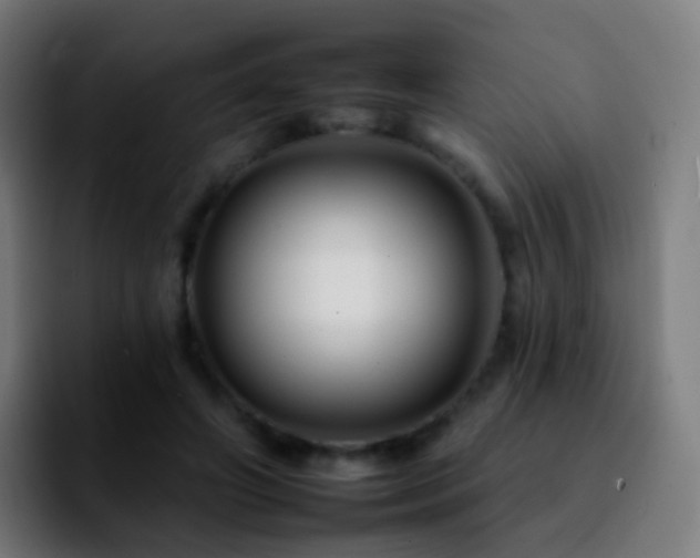 X0000092260498200709211122