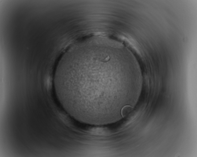 X0000092260499200709211122