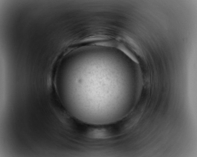 X0000092260500200709211122