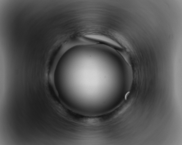 X0000092260501200709211122