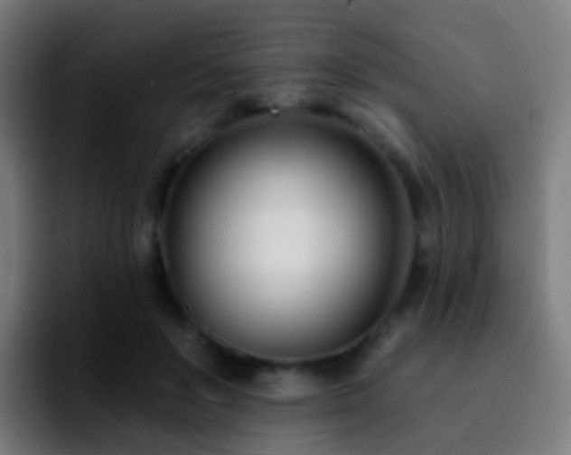 X0000092260503200709211122