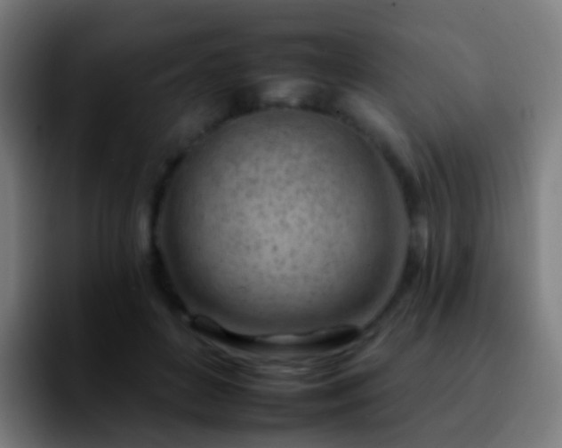 X0000092260504200709211122