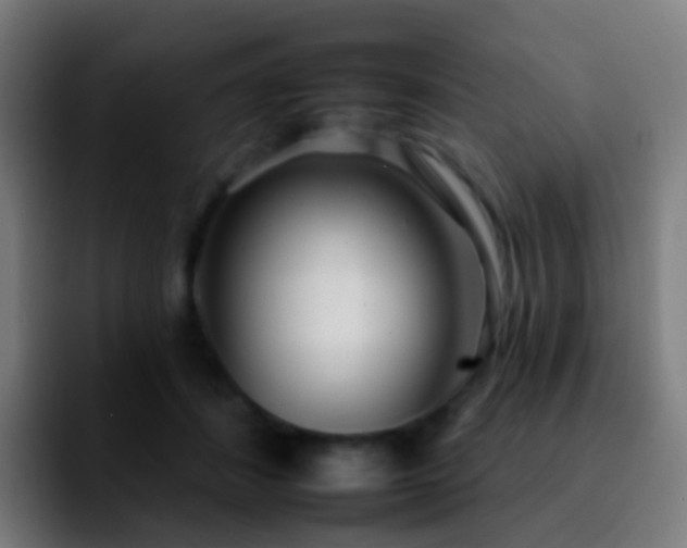 X0000092260508200709211121