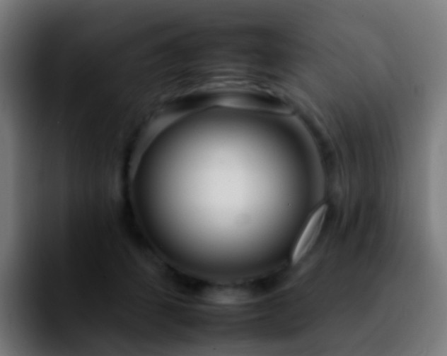 X0000092260512200709211121