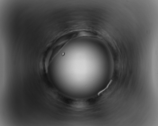 X0000092260516200709211121