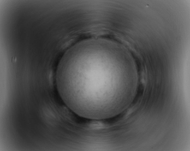 X0000092260519200709211121