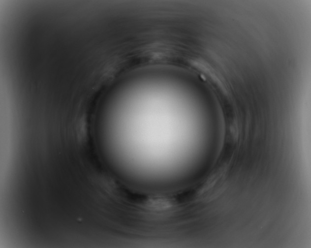 X0000092260520200709211121