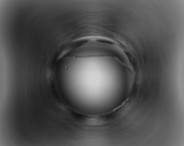 X0000092260521200709211121