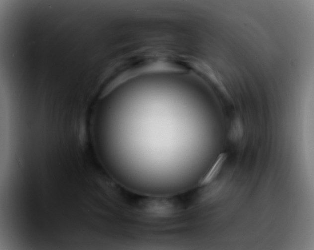 X0000092260524200709211121