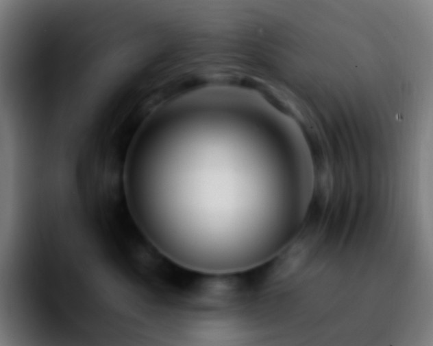 X0000092260525200709211121