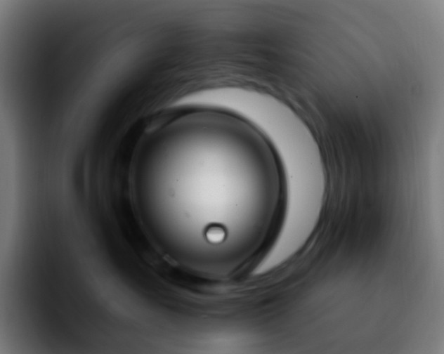 X0000092260527200709211121