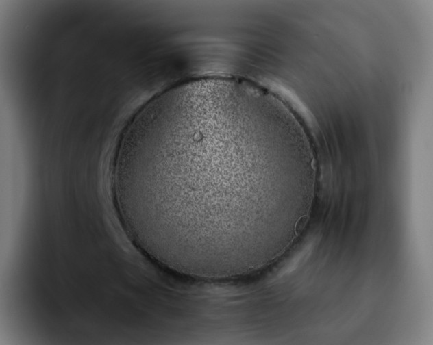 X0000092260529200709211121