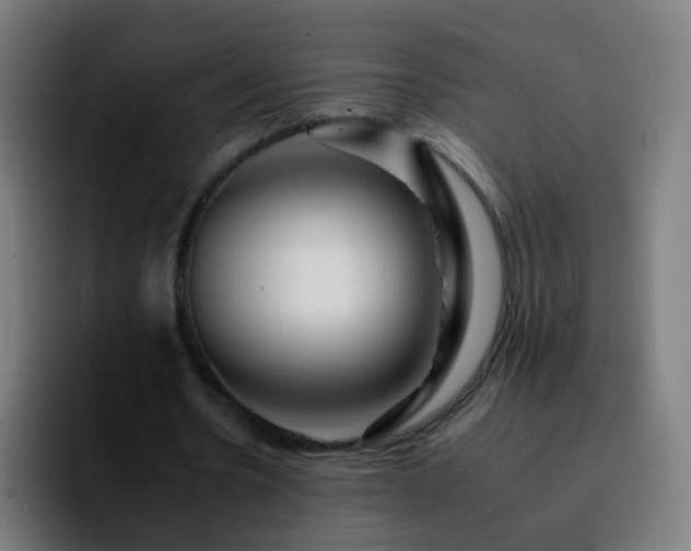 X0000092260530200709211121