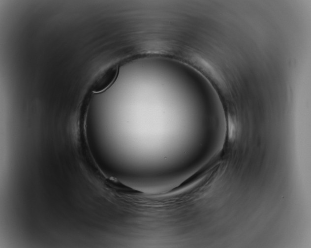 X0000092260531200709211121