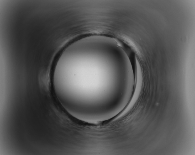 X0000092260532200709211121