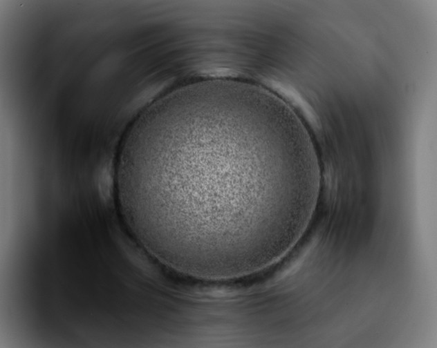 X0000092260533200709211121