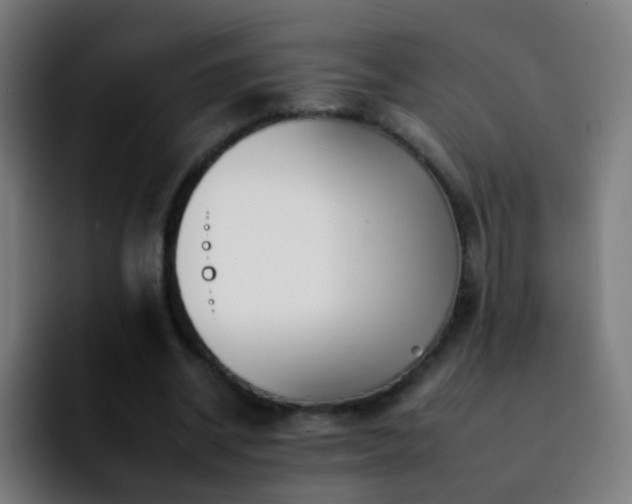 X0000092260534200709211121