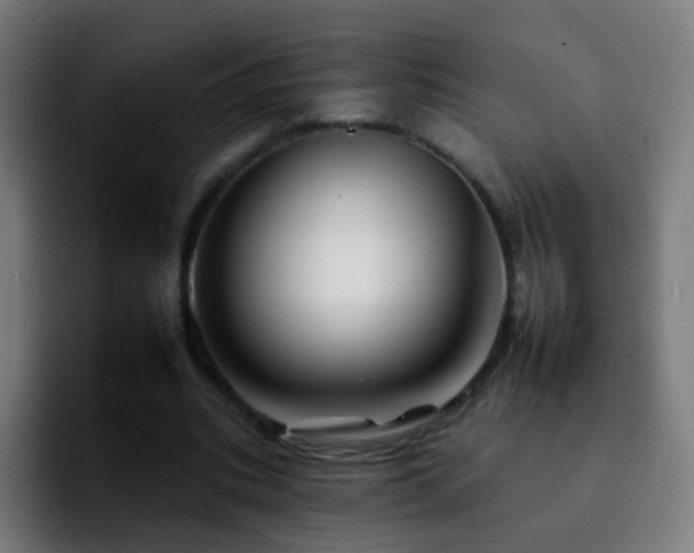 X0000092260535200709211121