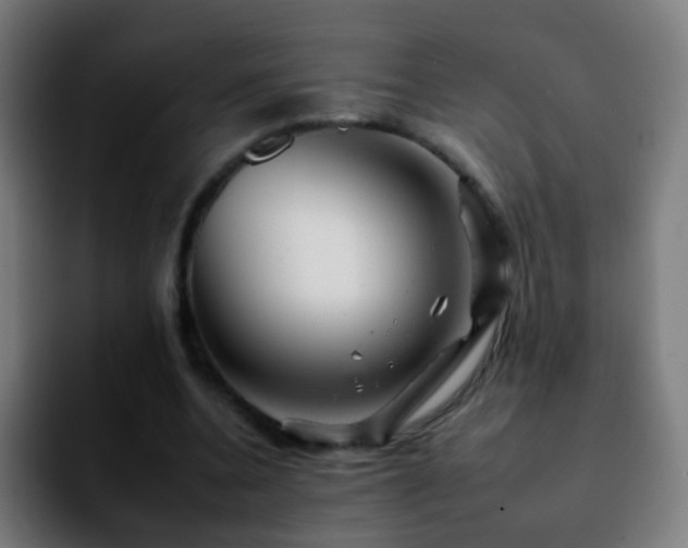 X0000092260536200709211121