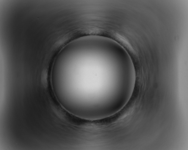 X0000092260538200709211121