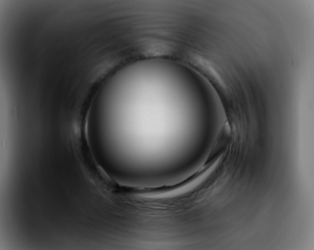 X0000092260539200709211121