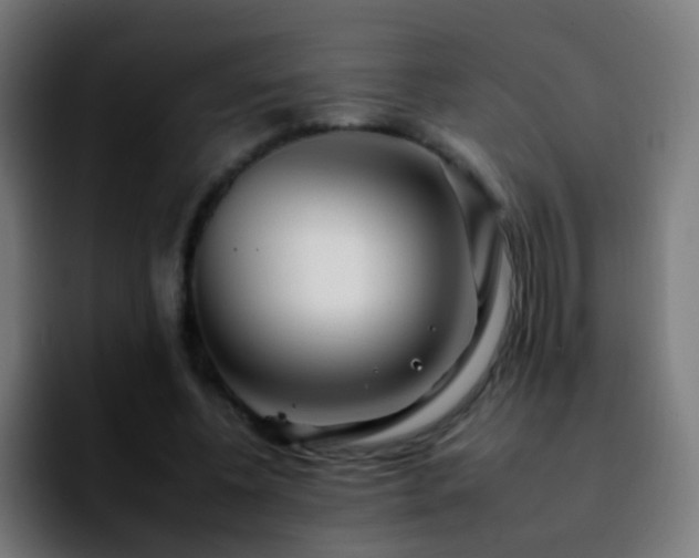 X0000092260540200709211121