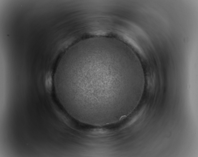 X0000092260541200709211121