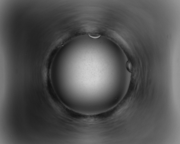 X0000092260542200709211121