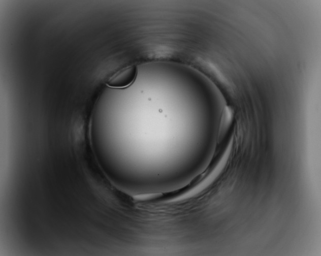 X0000092260543200709211121