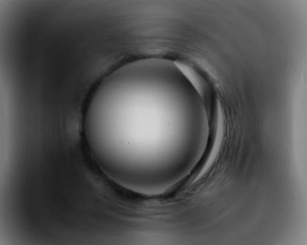 X0000092260544200709211121