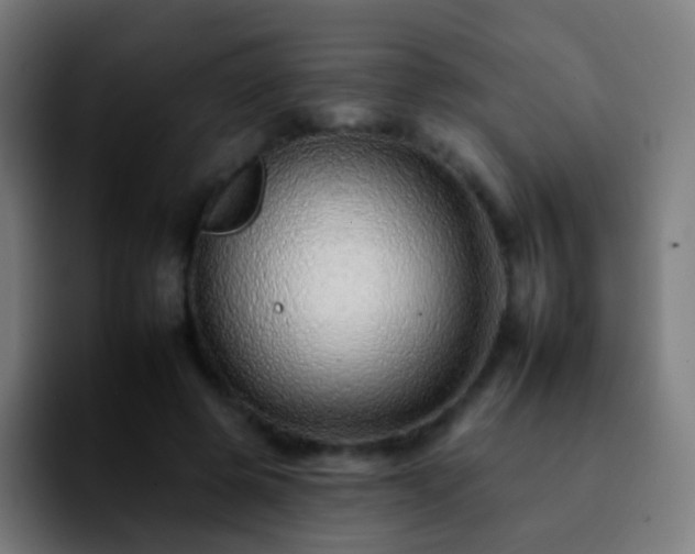 X0000092260545200709211121