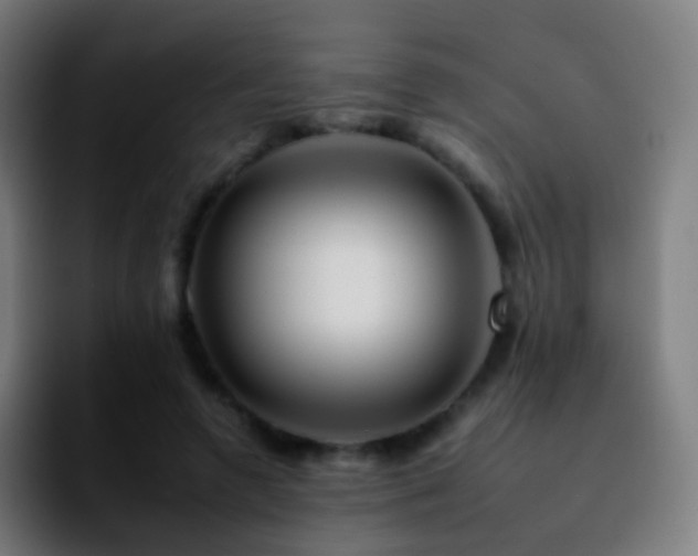 X0000092260546200709211121