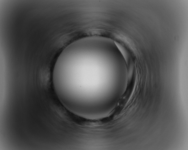 X0000092260548200709211121