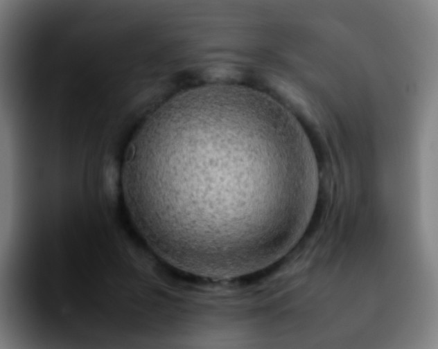 X0000092260550200709211121