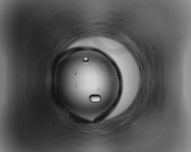 X0000092260552200709211121