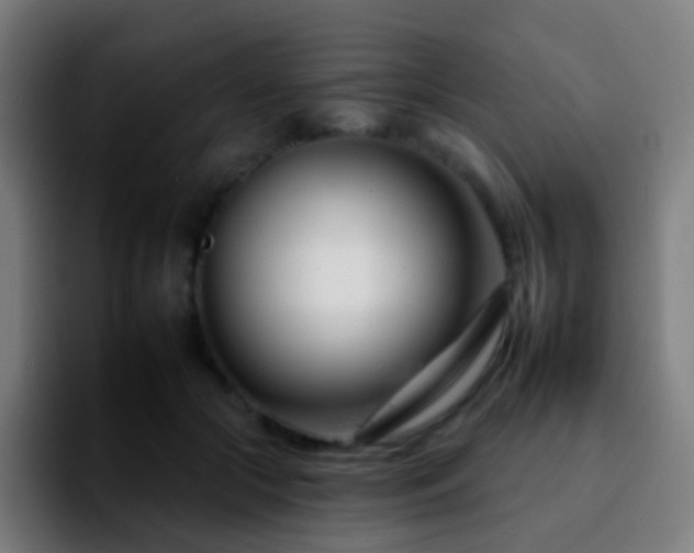 X0000092260553200709211121