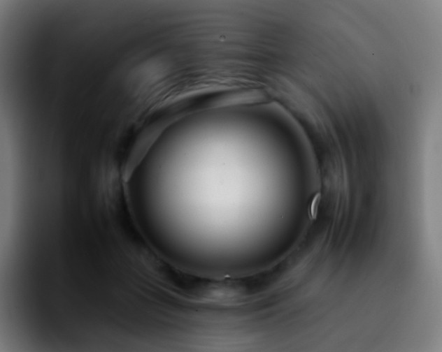 X0000092260555200709211121