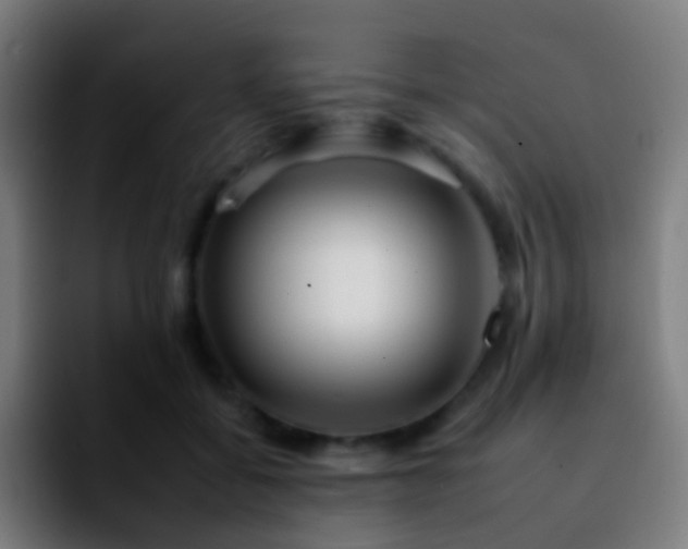 X0000092260556200709211121