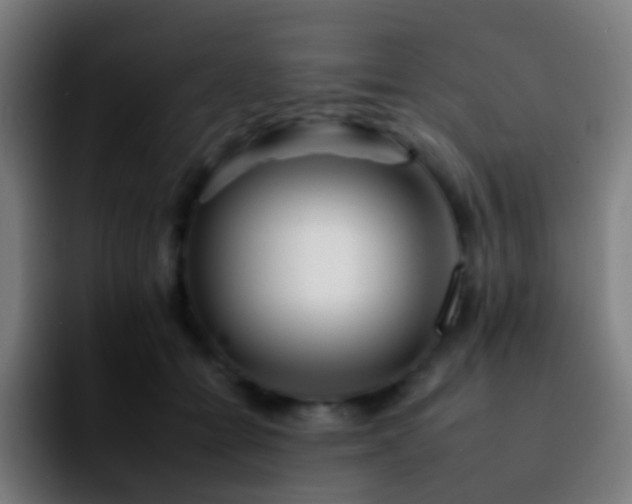 X0000092260558200709211121