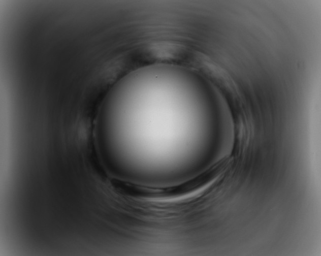 X0000092260559200709211121