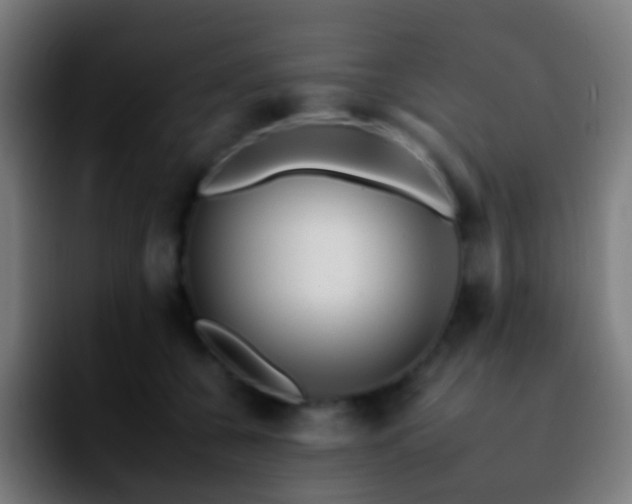 X0000092260560200709211121