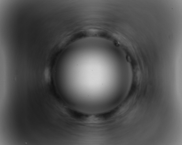 X0000092260562200709211121