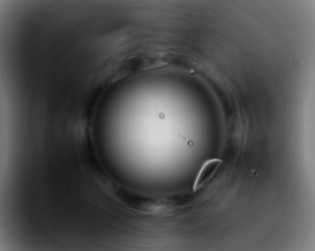 X0000092260563200709211121