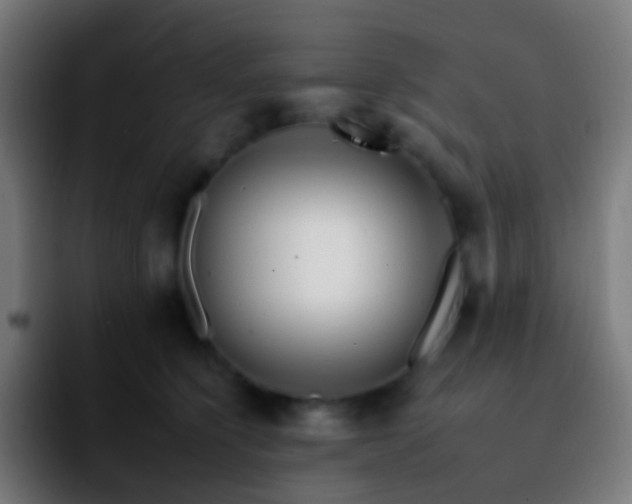 X0000092260564200709211121