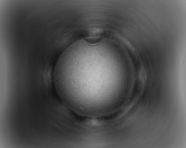 X0000092260565200709211121