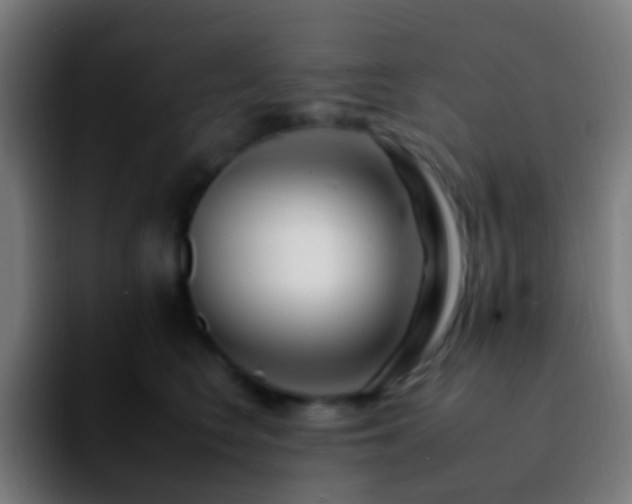 X0000092260566200709211121